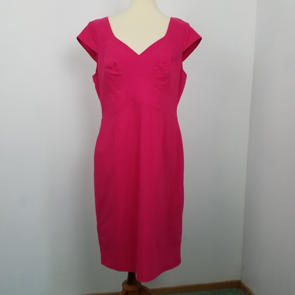 Adrianna Papell Fuchsia Sheath Dress